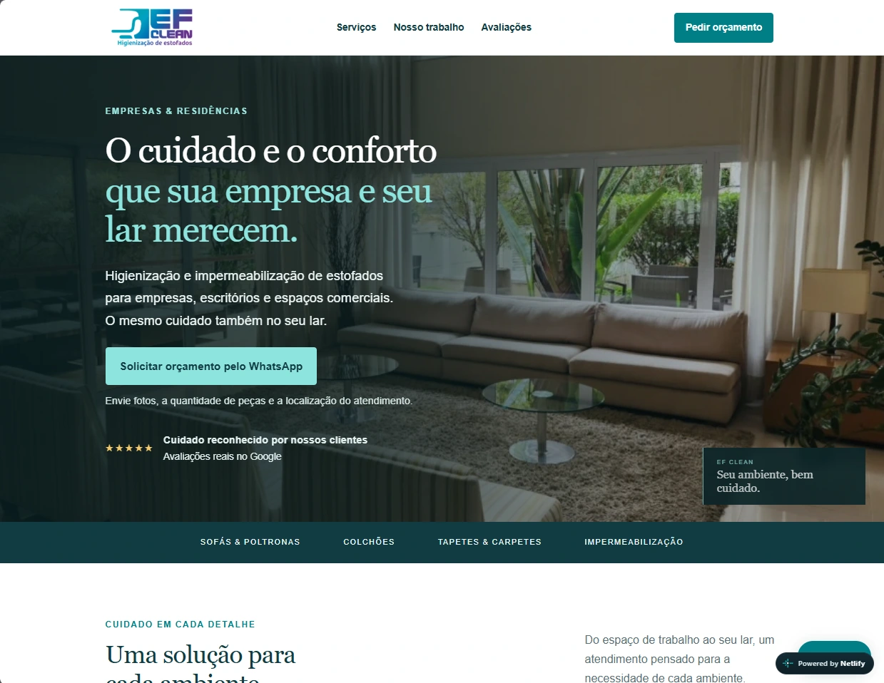 Captura real da página inicial do site EF Clean